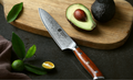 Santoku Kitchen Knife Sets vg10 Core Damascus Steel Chef Xinzuo