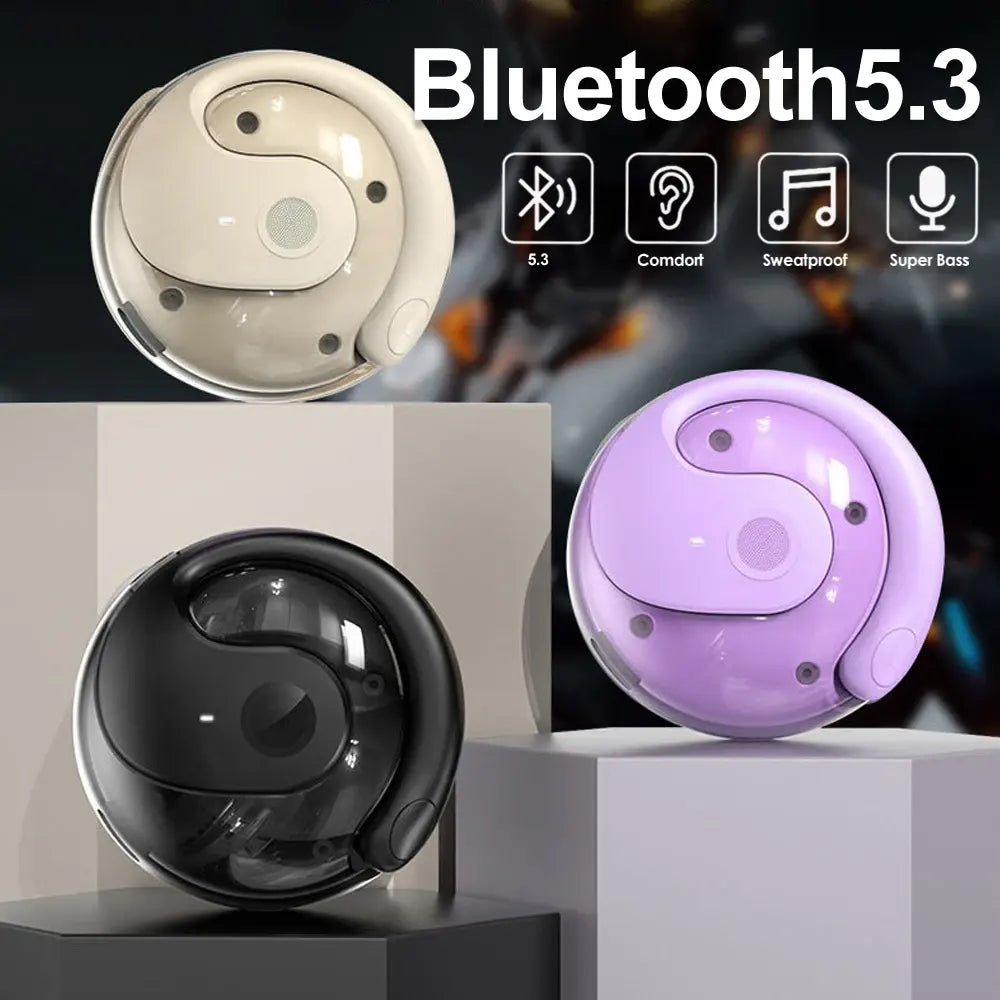 Bluetooth 5.3 comfort earhook earbuds Dustproof Noise reduction