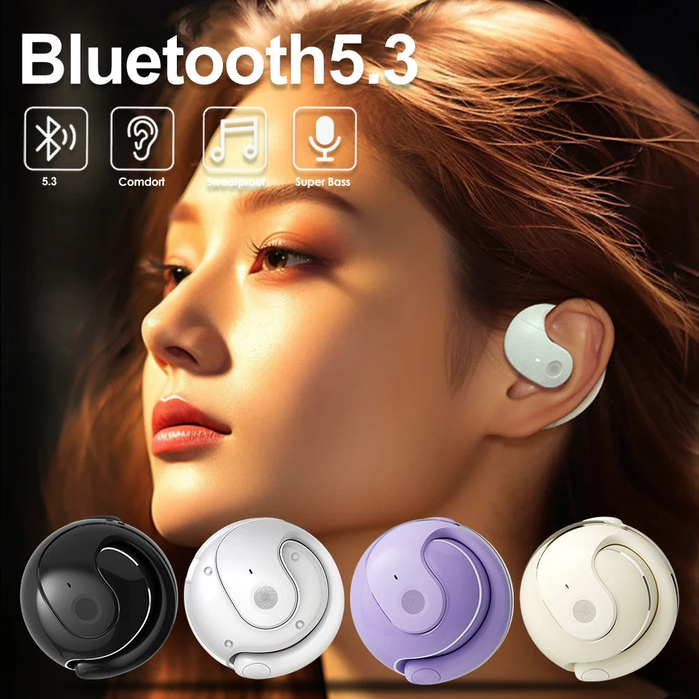 Bluetooth 5.3 comfort earhook earbuds Dustproof Noise reduction