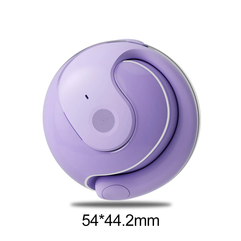 Bluetooth 5.3 comfort earhook earbuds Dustproof Noise reduction