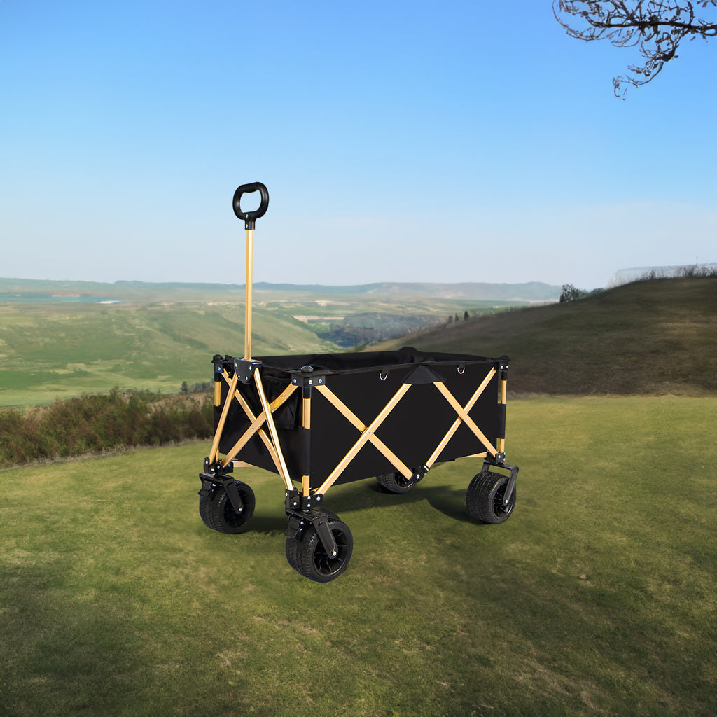 Chariot de plage pliant robuste – Utilitaire pour sable avec grandes roues
