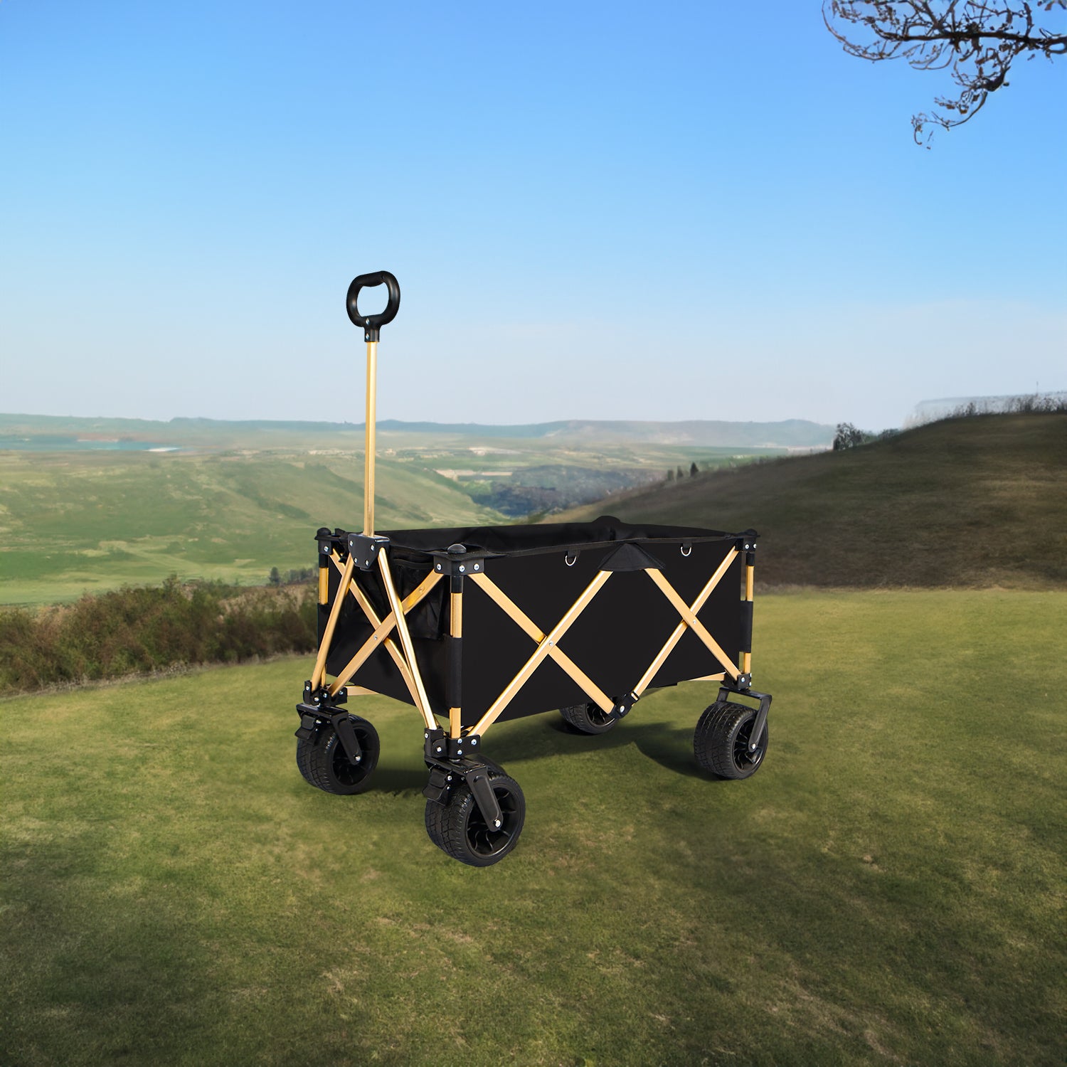 Chariot de plage pliant robuste – Utilitaire pour sable avec grandes roues
