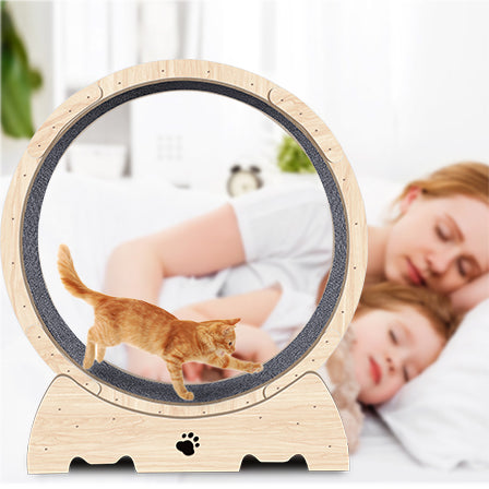 Roue d'exercice pour chats d'intérieur, tapis de course pour chat avec piste moquettée 94 cm - Bois naturel