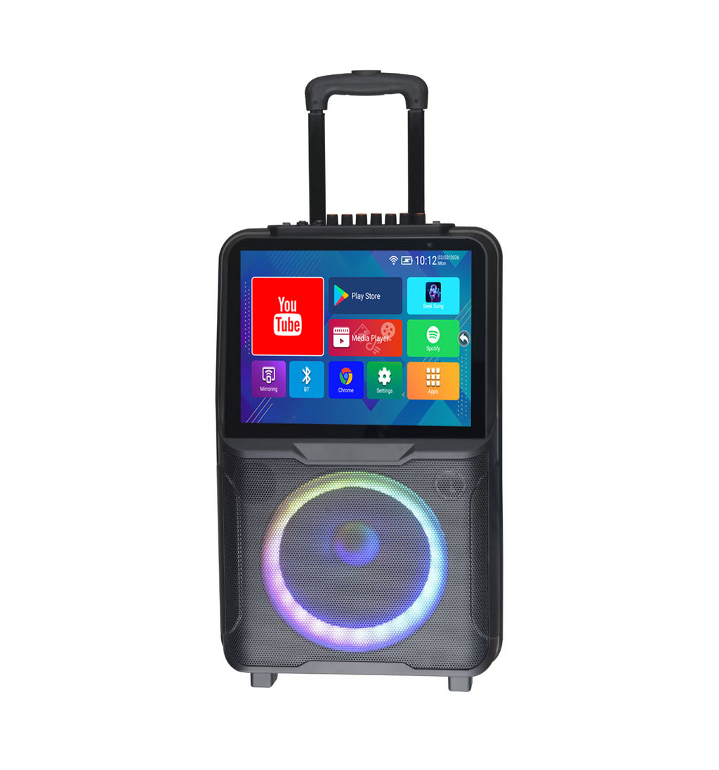Enceinte Bluetooth multimédia avec écran, Karaoké, rechargeable, 40W RMS, 7200mAh - CSN1703